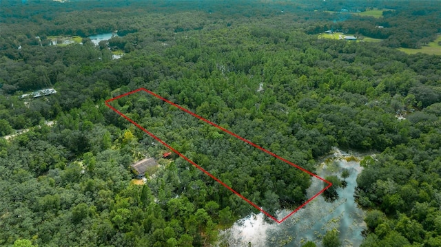34167 Belt Dr, Dade City, FL 33523 - photo 19