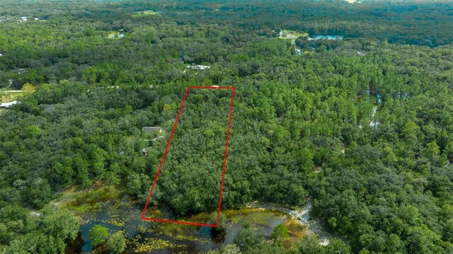 34167 Belt Dr, Dade City, FL 33523 - photo 21