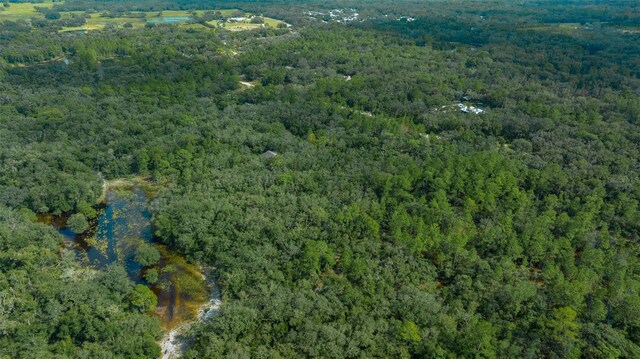 34167 Belt Dr, Dade City, FL 33523 - photo 22