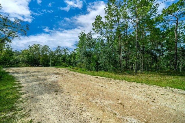 34167 Belt Dr, Dade City, FL 33523 - photo 23
