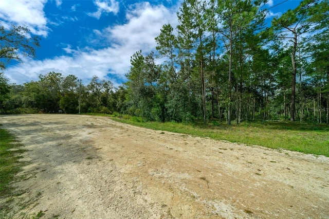34167 Belt Dr, Dade City, FL 33523 - photo 24