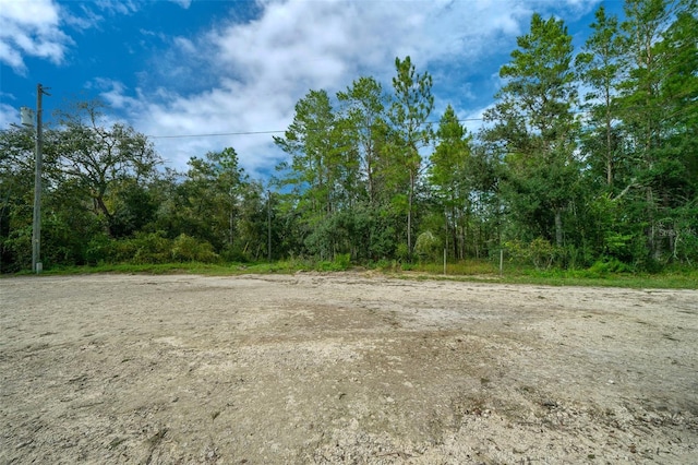 34167 Belt Dr, Dade City, FL 33523 - photo 25