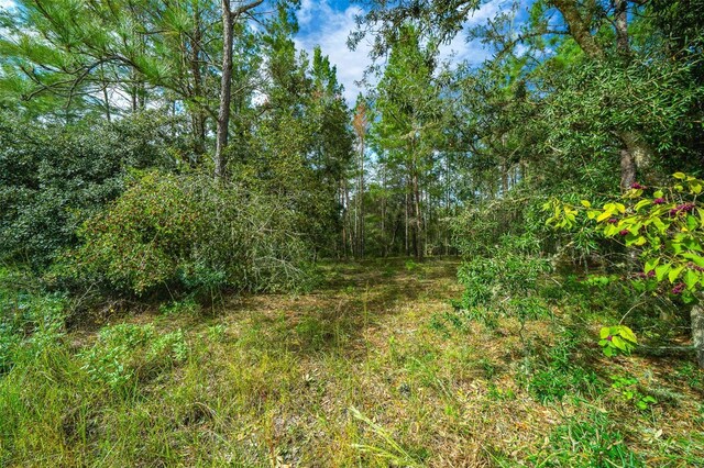 34167 Belt Dr, Dade City, FL 33523 - photo 26