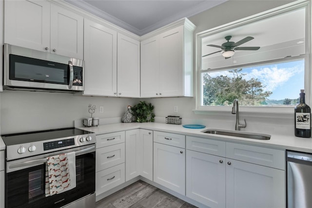 kitchen featuring white cabinets, ceiling fan, appliances with stainless steel finishes, light hardwood / wood-style floors, and sink