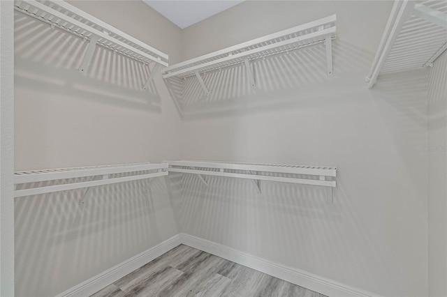 walk in closet featuring hardwood / wood-style floors