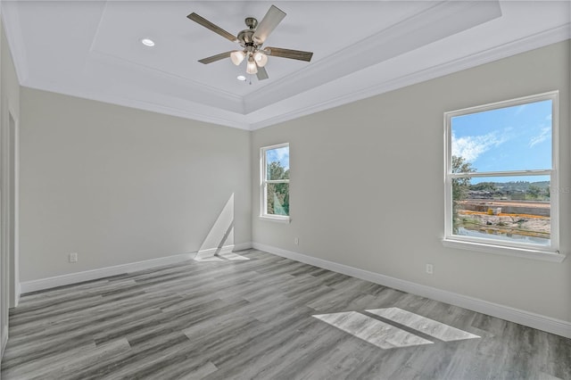 spare room with a raised ceiling, a wealth of natural light, and light wood-type flooring