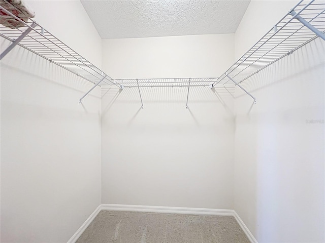 walk in closet featuring carpet