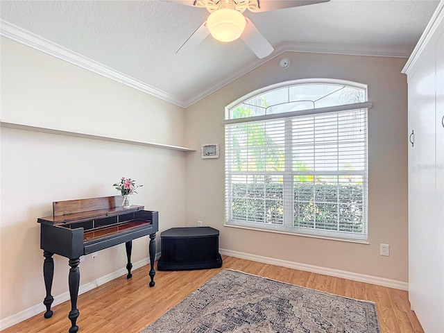 misc room with crown molding, vaulted ceiling, ceiling fan, and light wood-type flooring