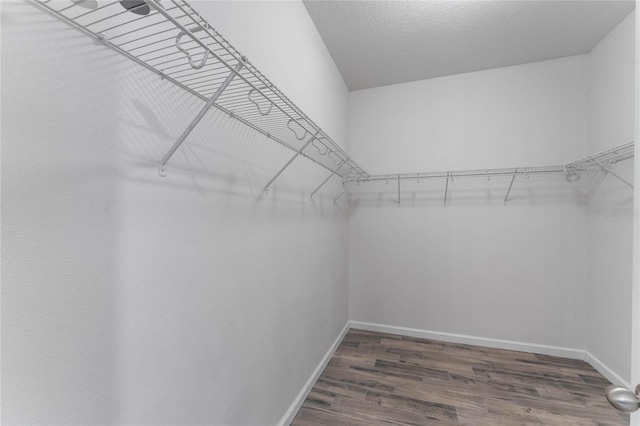 spacious closet featuring wood finished floors