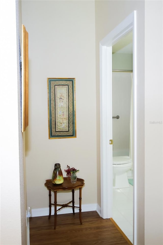 hall featuring dark wood-type flooring