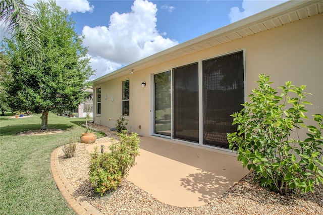 back of house featuring a patio and a lawn