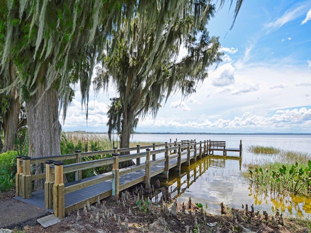 dock area with a water view