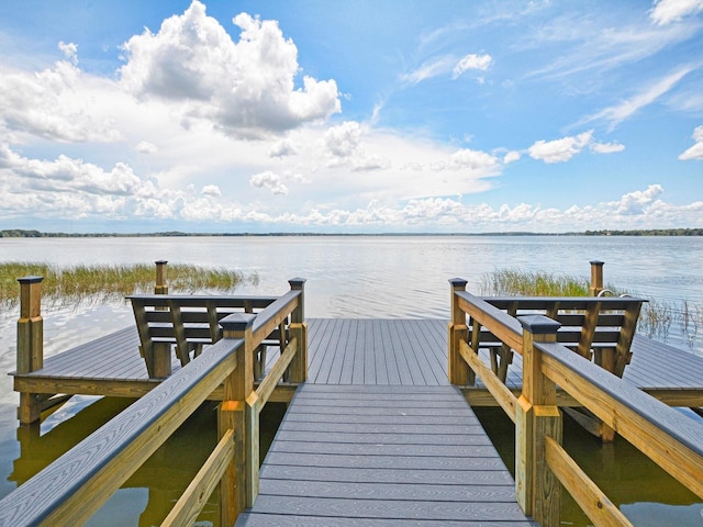 dock area with a water view