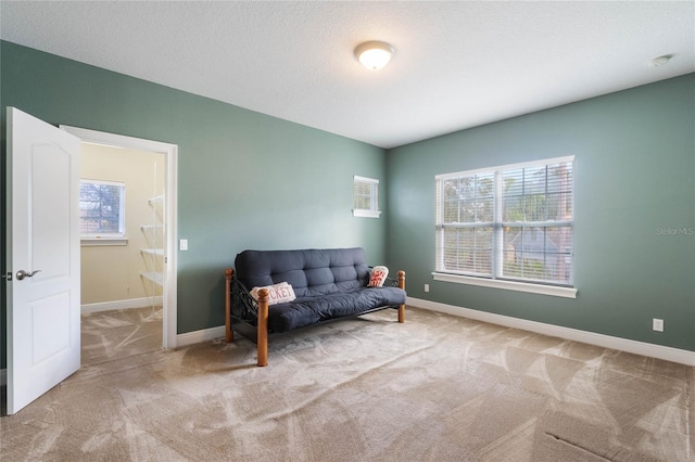 sitting room with light colored carpet, a textured ceiling, and plenty of natural light