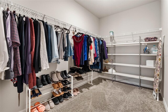 spacious closet with carpet floors