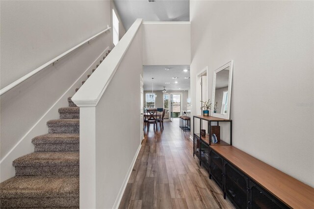 staircase with a towering ceiling and wood-type flooring