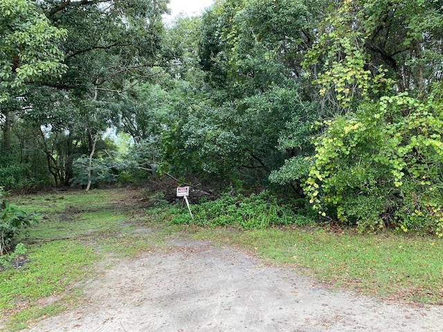 N Wardell St, Mount Dora, FL 32757