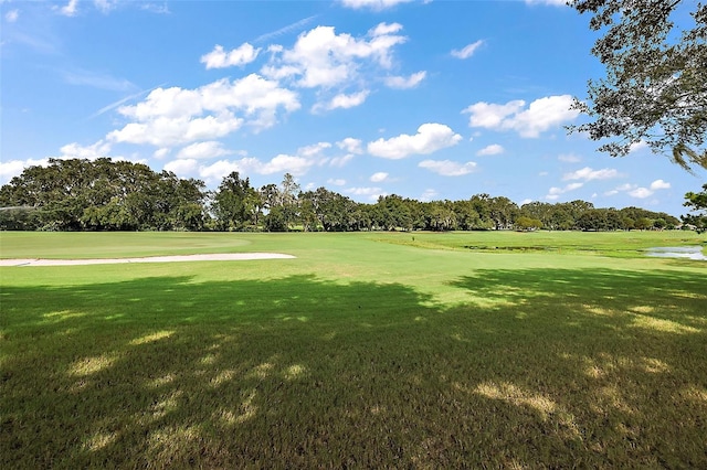 surrounding community featuring a yard