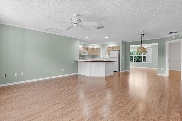 unfurnished living room with ornamental molding, light hardwood / wood-style flooring, and a textured ceiling