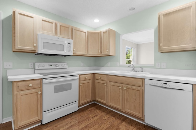 kitchen featuring light brown cabinetry, white appliances, sink, and wood-type flooring