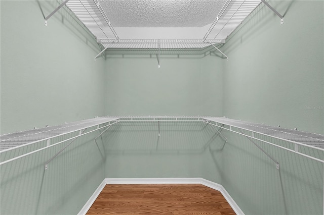 walk in closet featuring hardwood / wood-style flooring