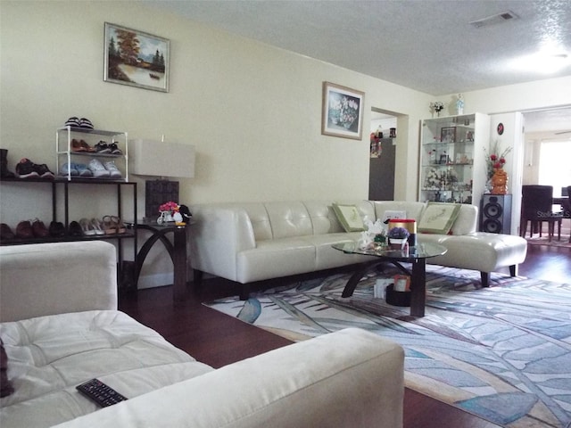 living room with a textured ceiling and hardwood / wood-style floors