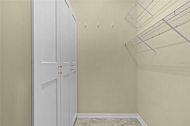 25304 Forest Oak Ct, Leesburg, FL 34748 - view of spacious closet
