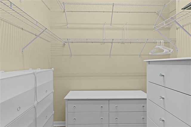 25304 Forest Oak Ct, Leesburg, FL 34748 - view of walk in closet