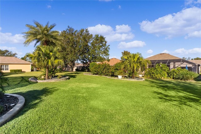 25304 Forest Oak Ct, Leesburg, FL 34748 - view of yard