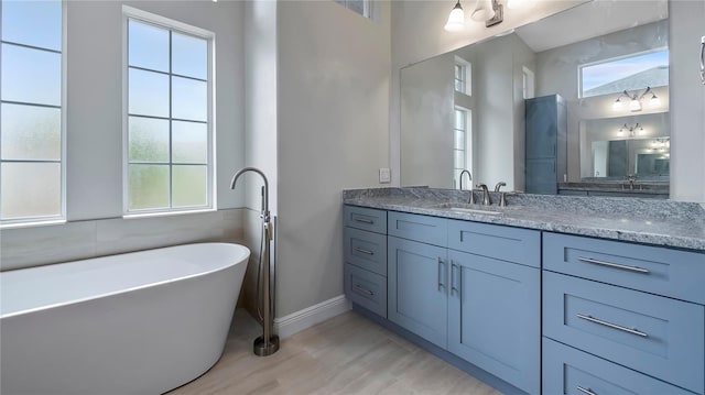 bathroom featuring a bathtub, plenty of natural light, and vanity