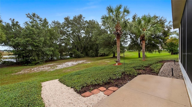 view of yard featuring a patio area