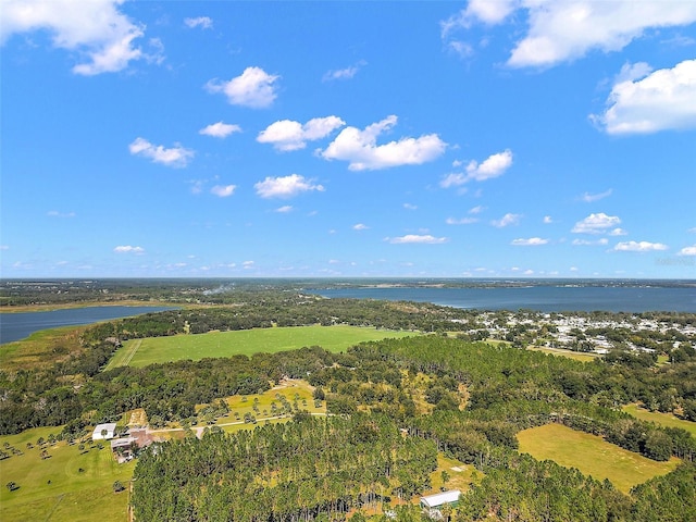 11001 Moon Crest Ln, Leesburg, FL 34788 - photo 9