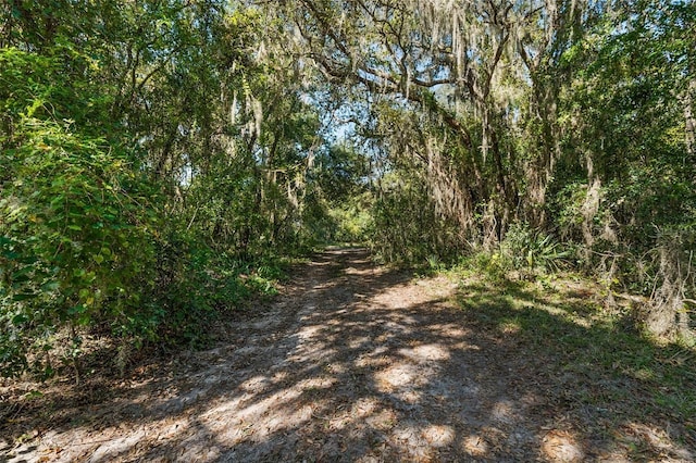 11001 Moon Crest Ln, Leesburg, FL 34788 - photo 16