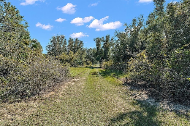 11001 Moon Crest Ln, Leesburg, FL 34788 - photo 18