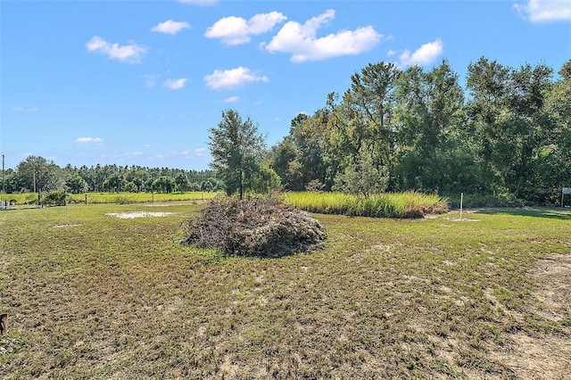 11001 Moon Crest Ln, Leesburg, FL 34788 - photo 20