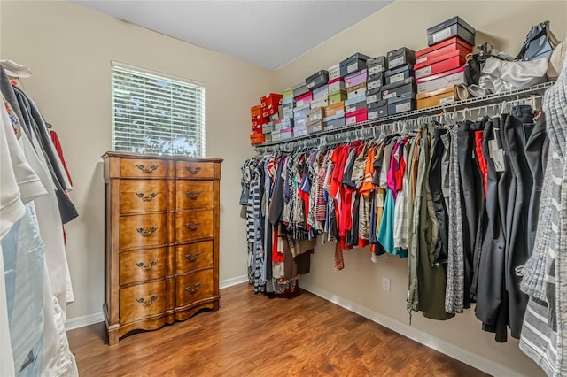 walk in closet with hardwood / wood-style flooring