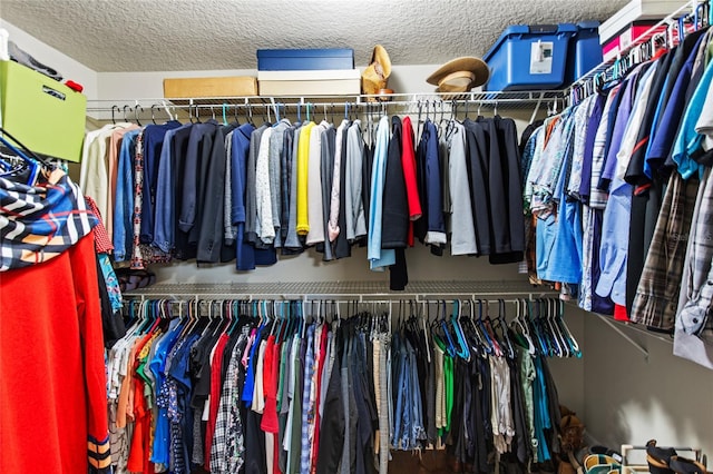 view of walk in closet