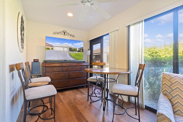 dining room with hardwood / wood-style floors, a wealth of natural light, and ceiling fan