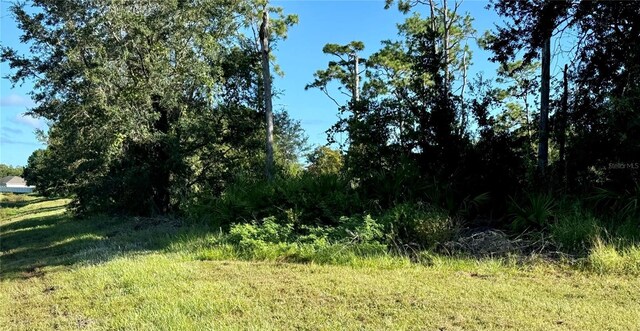 638 Jaguar Ct, Kissimmee, FL 34759 - photo 2