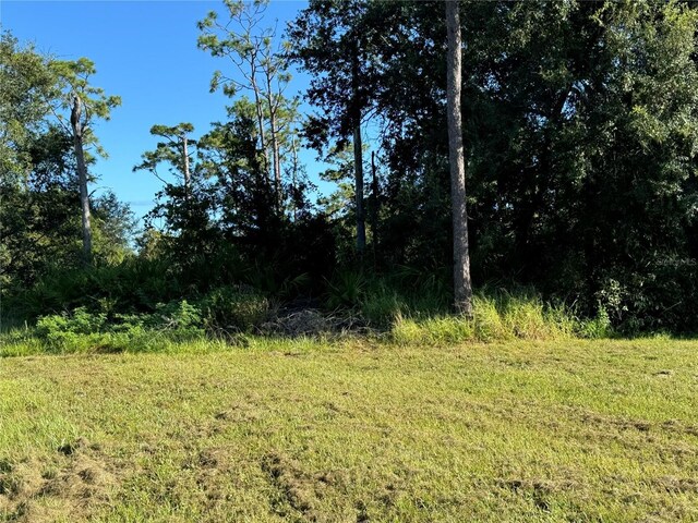 638 Jaguar Ct, Kissimmee, FL 34759 - photo 3