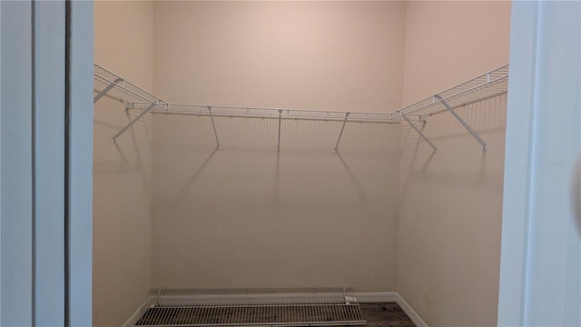 view of walk in closet