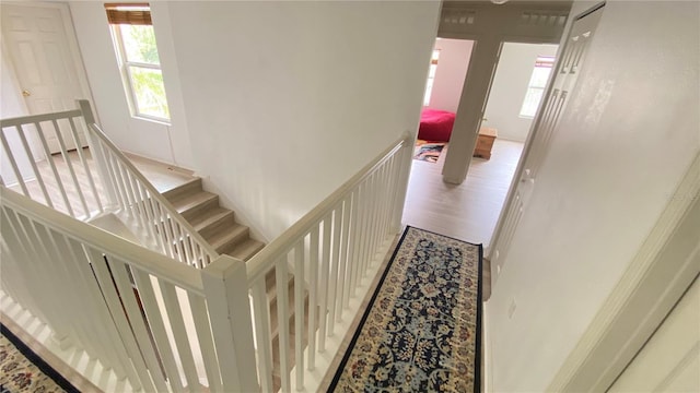 1681 Strathmore Cir, Mount Dora, FL 32757 - hall featuring an upstairs landing and wood finished floors