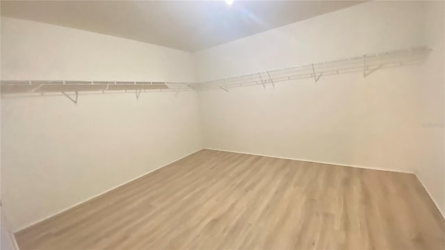 1681 Strathmore Cir, Mount Dora, FL 32757 - spacious closet with light wood finished floors