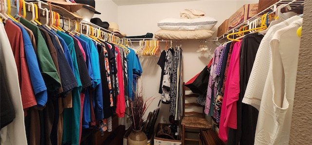 view of spacious closet