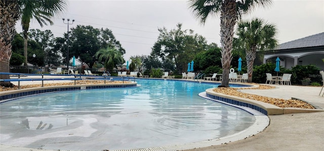 view of pool with a patio area