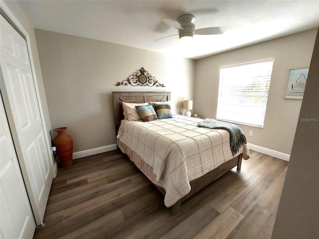 bedroom with ceiling fan, a closet, and dark hardwood / wood-style flooring