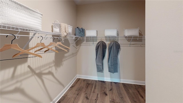 walk in closet featuring hardwood / wood-style flooring