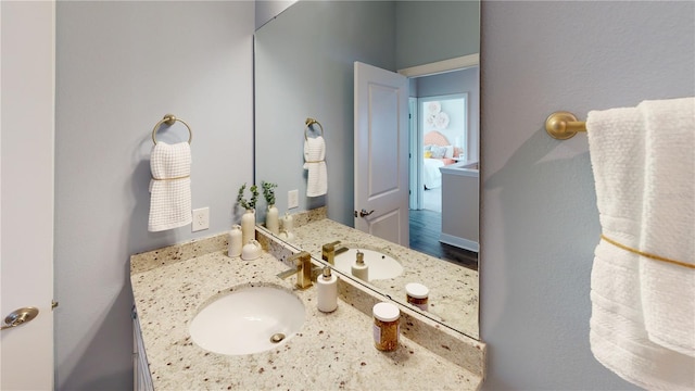 bathroom featuring wood-type flooring and vanity