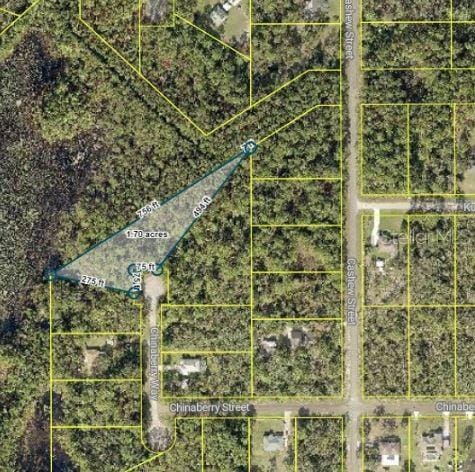 TBD Chinaberry Way, Eustis FL, 32736 land for sale