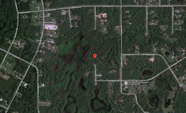 Listing photo 2 for TBD Chinaberry Way, Eustis FL 32736